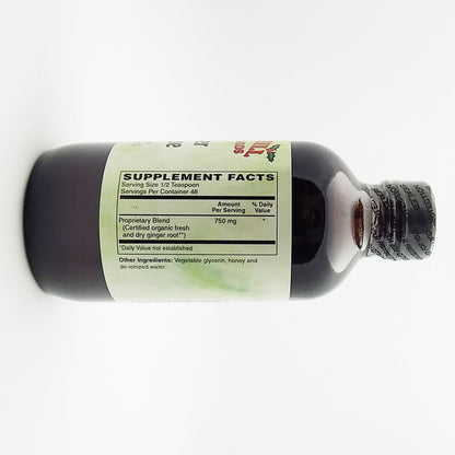 Holly Hill Health Foods Ginger Rescue Syrup – 4oz (Pack of 2)