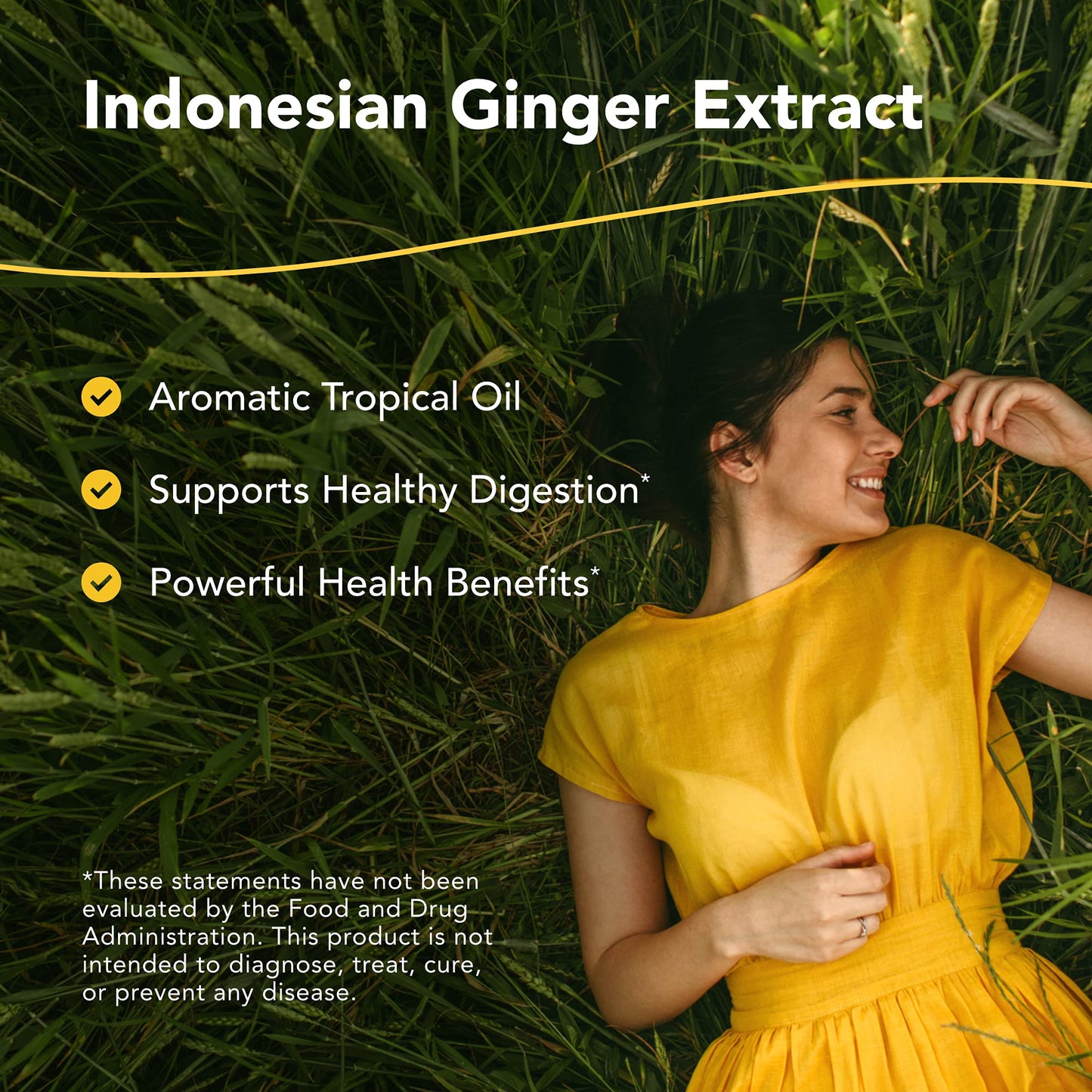 Gingerol Oil of Ginger 1 oz | North American Herb and Spice