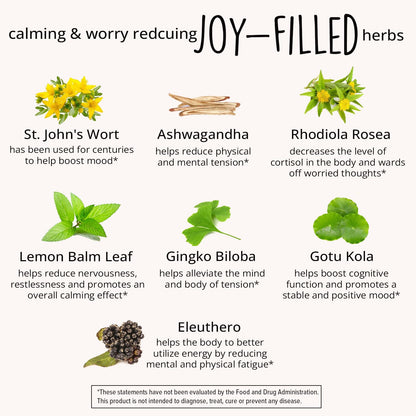 Joy-Filled Mood Support - 7-Herb Complex with St. John's Wort | Plant-Based Stress Relief | 60 Ct