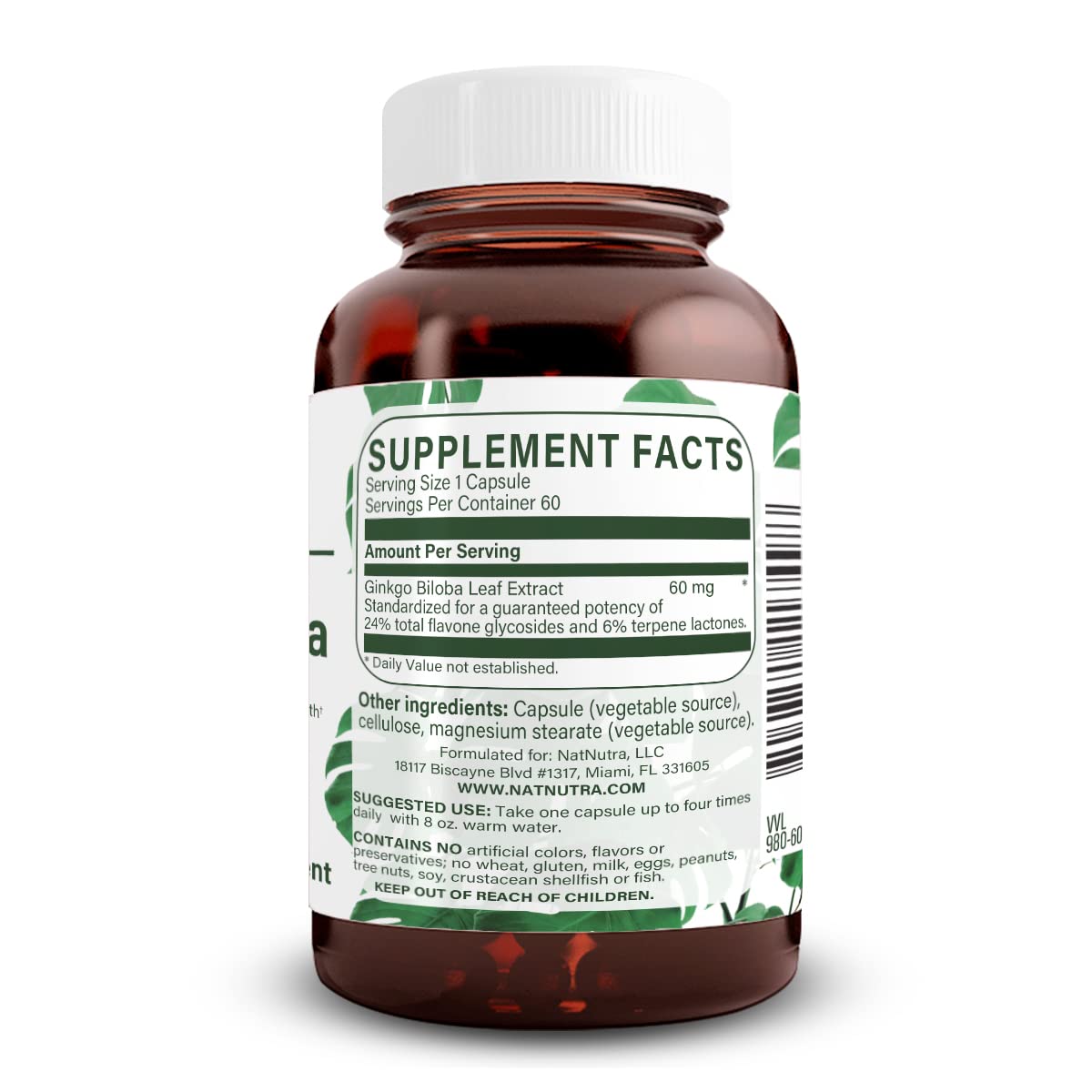 Natural Nutra Ginkgo Biloba – Boosts Memory, Brain Circulation & Focus, Vegan & Gluten Free, 60 Capsules