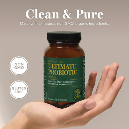 Global Healing Center Ultimate Probiotic Blend with Prebiotics — 100 Billion CFU, 60 Capsules