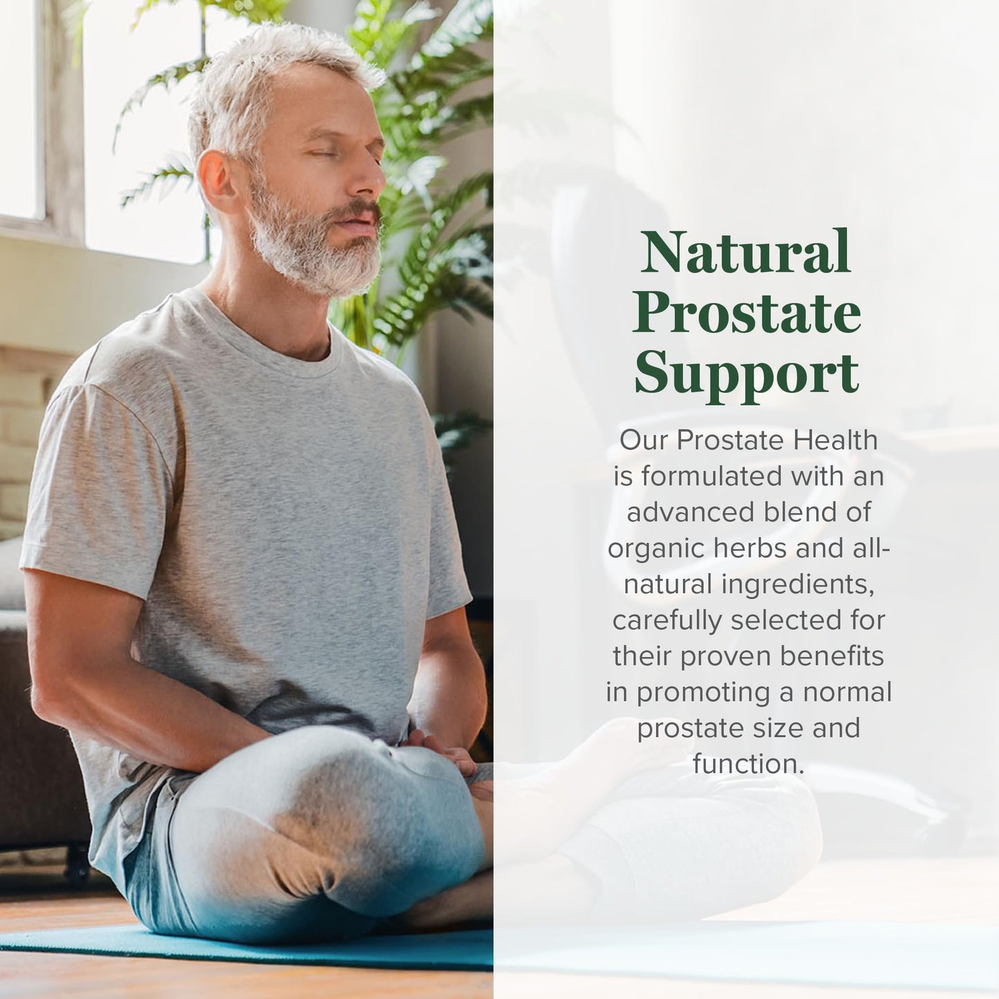 Global Healing Organic Prostate Health – Men's Health Supplement | Prostate Support & Urinary Comfort – 2 Fl Oz