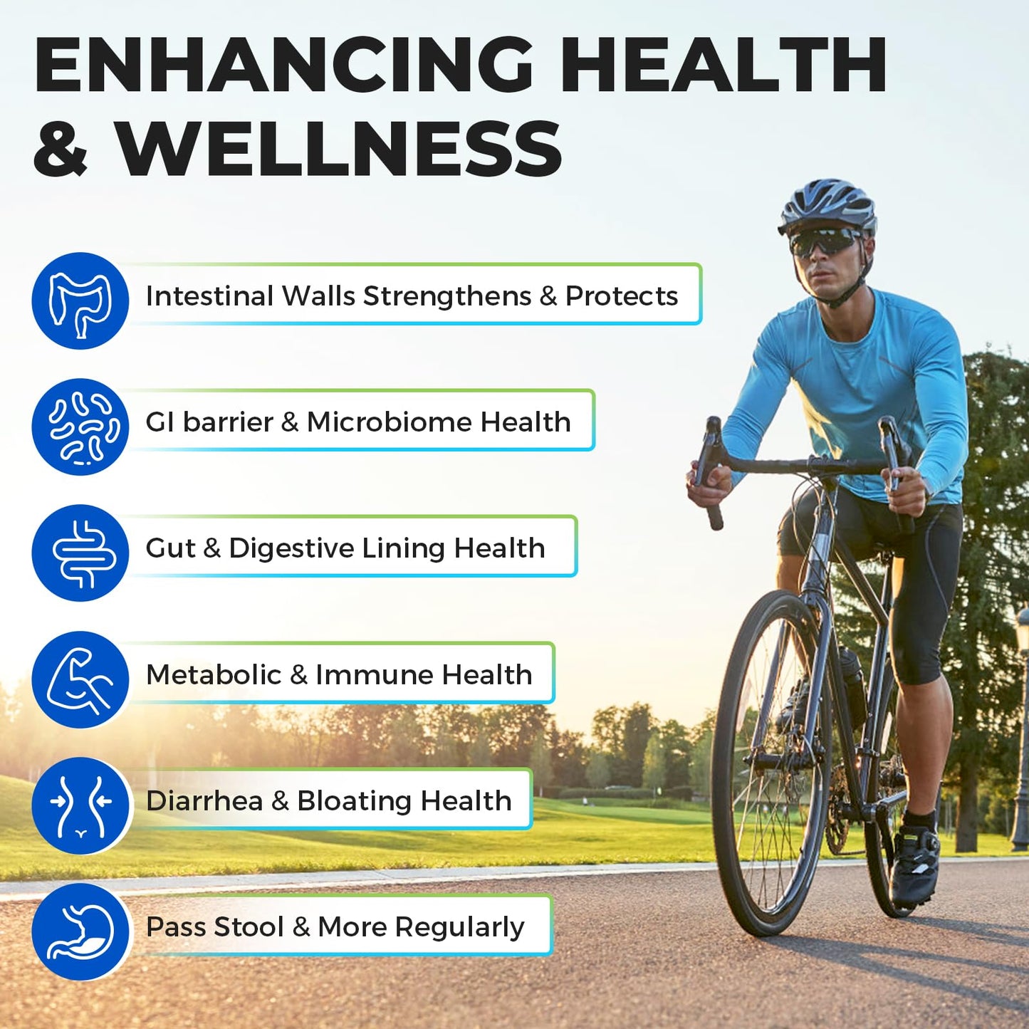 Akkermansia Probiotic with GLP-1 – 60 Capsules for Gut Health