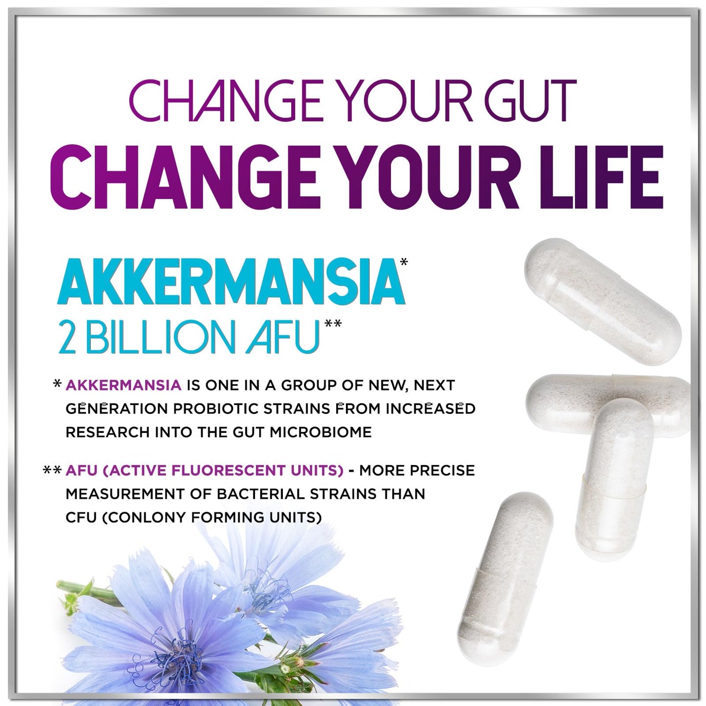 Akkermansia Probiotic 2B AFU – GLP-1 Support + Inulin Fiber | 120 Capsules | USA