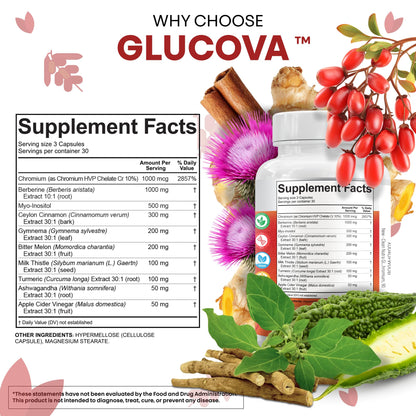 Clean Nutra Glucova – All-in-One Blood Sugar Support (90 Capsules)