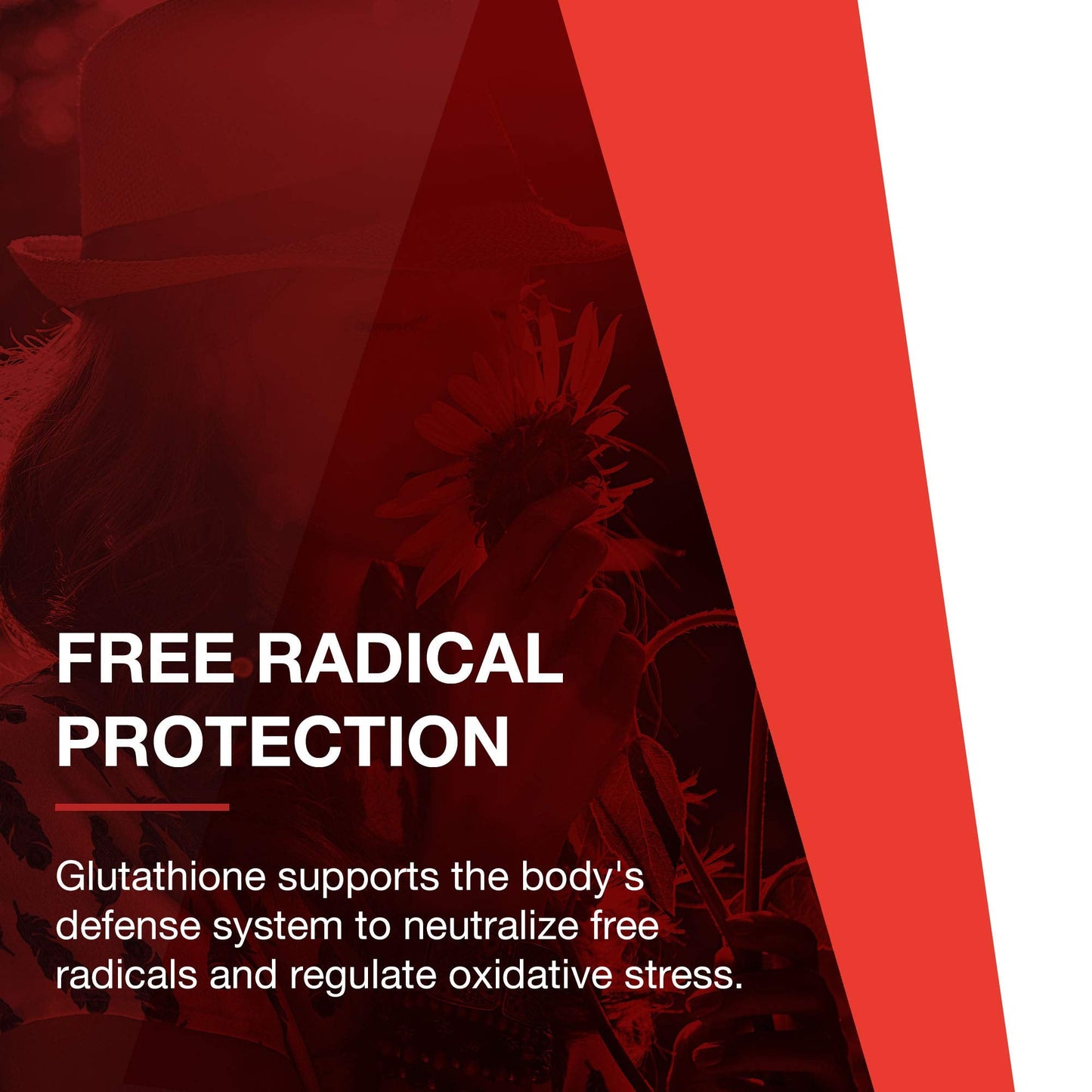 PROTOCOL FOR LIFE BALANCE Glutathione 500mg - Milk Thistle and Alpha-Lipoic Acid - 60 Veg Caps