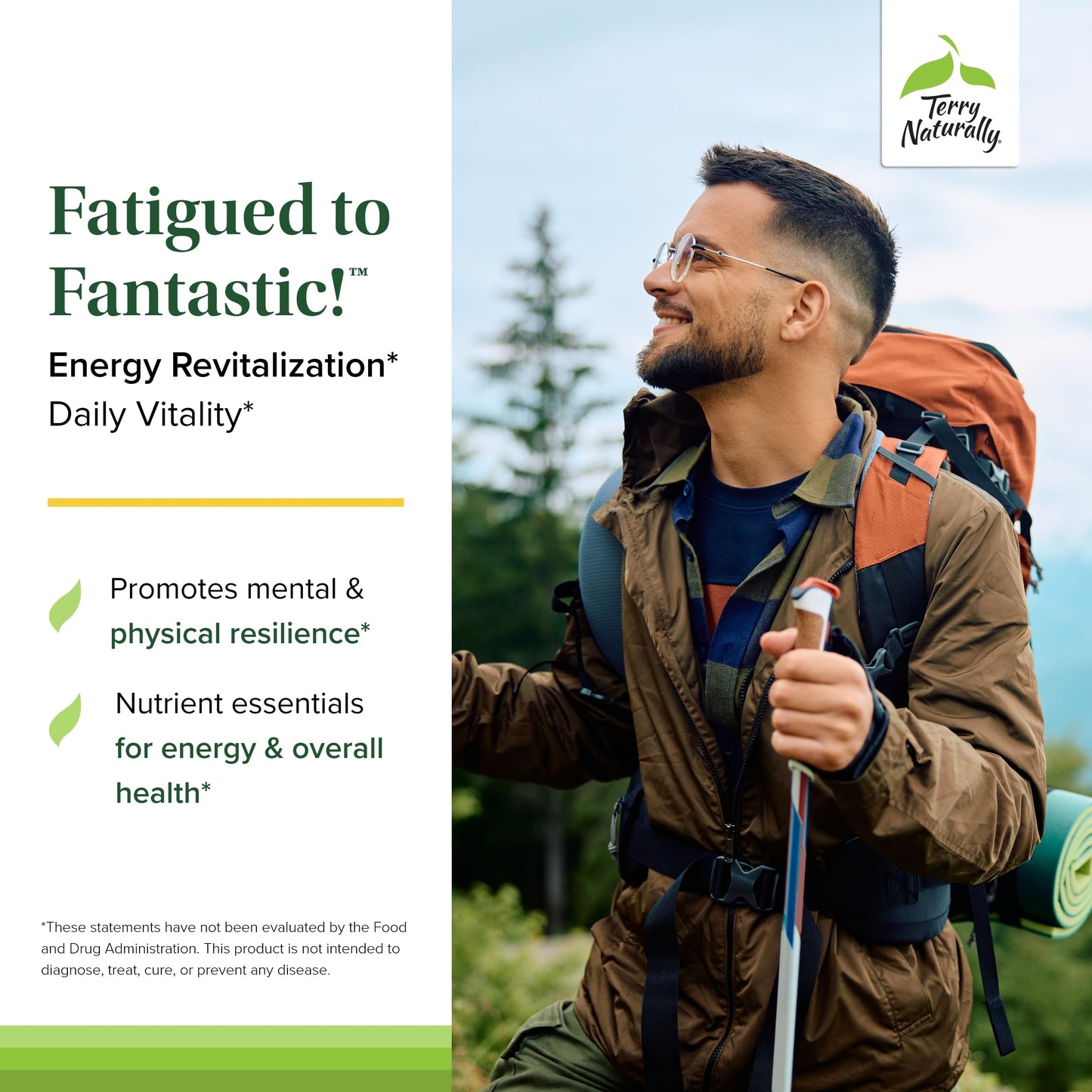 Fatigued to Fantastic Energy Revitalization Drink Mix – Terry Naturally