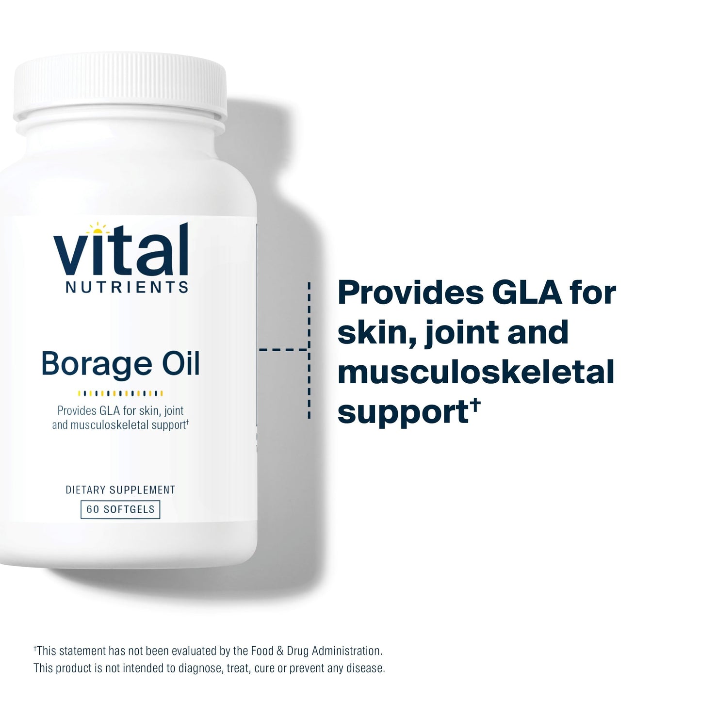Vital Nutrients Borage Oil 1000mg | High-Dose GLA Omega-6 | 60 Softgels | Gluten, Dairy, Soy Free | Non-GMO