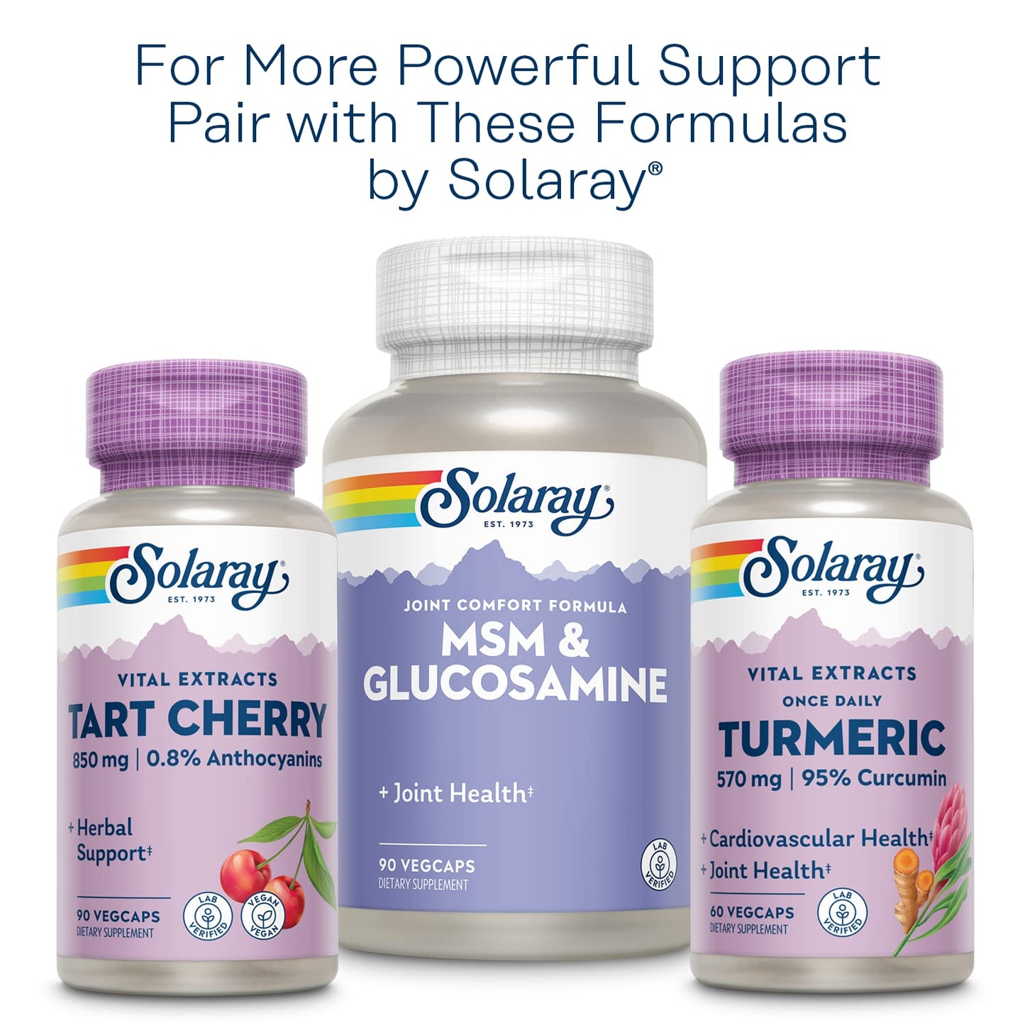 Solaray Celery Seed 505mg | 100 Vegetarian Capsules