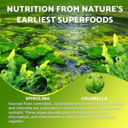 2 Pack Organic Spirulina & Chlorella Gummies – Pineapple Flavor, Vitamin C & Zinc