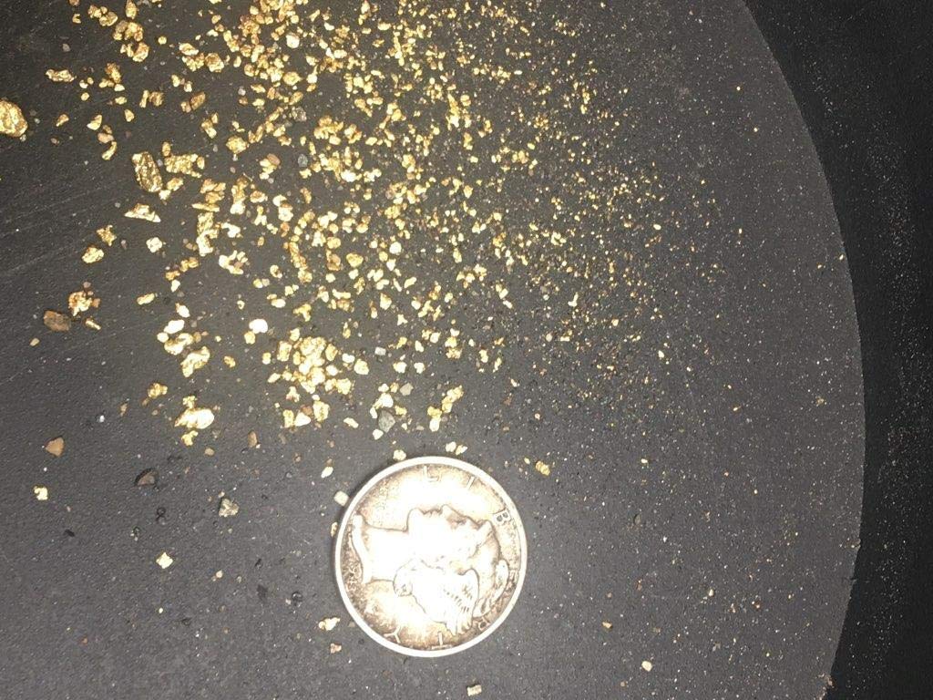 Gold Paydirt 2 lb Colorado – Pan at Home, Guaranteed Gold