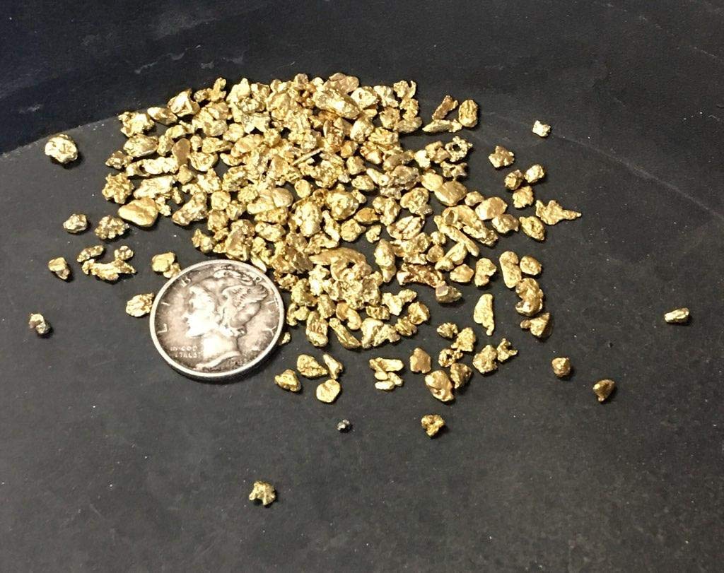 Gold Paydirt 2 lb Colorado – Pan at Home, Guaranteed Gold