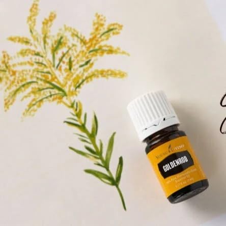 Goldenrod Essential Oil 5ml | Warm, Uplifting Aroma for Diffusing, Topical & DIY Blends | Young Living Seed to Seal