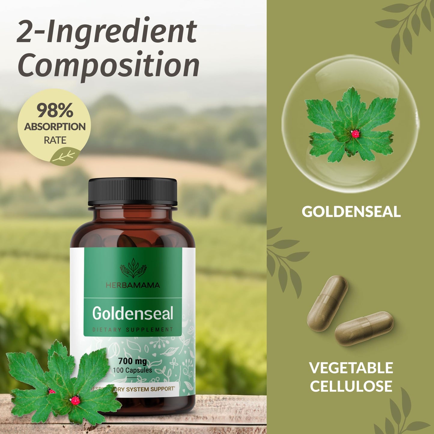 Goldenseal Root Capsules 700mg - Immune & Respiratory Support | Vegan, Non-GMO | Herbamama