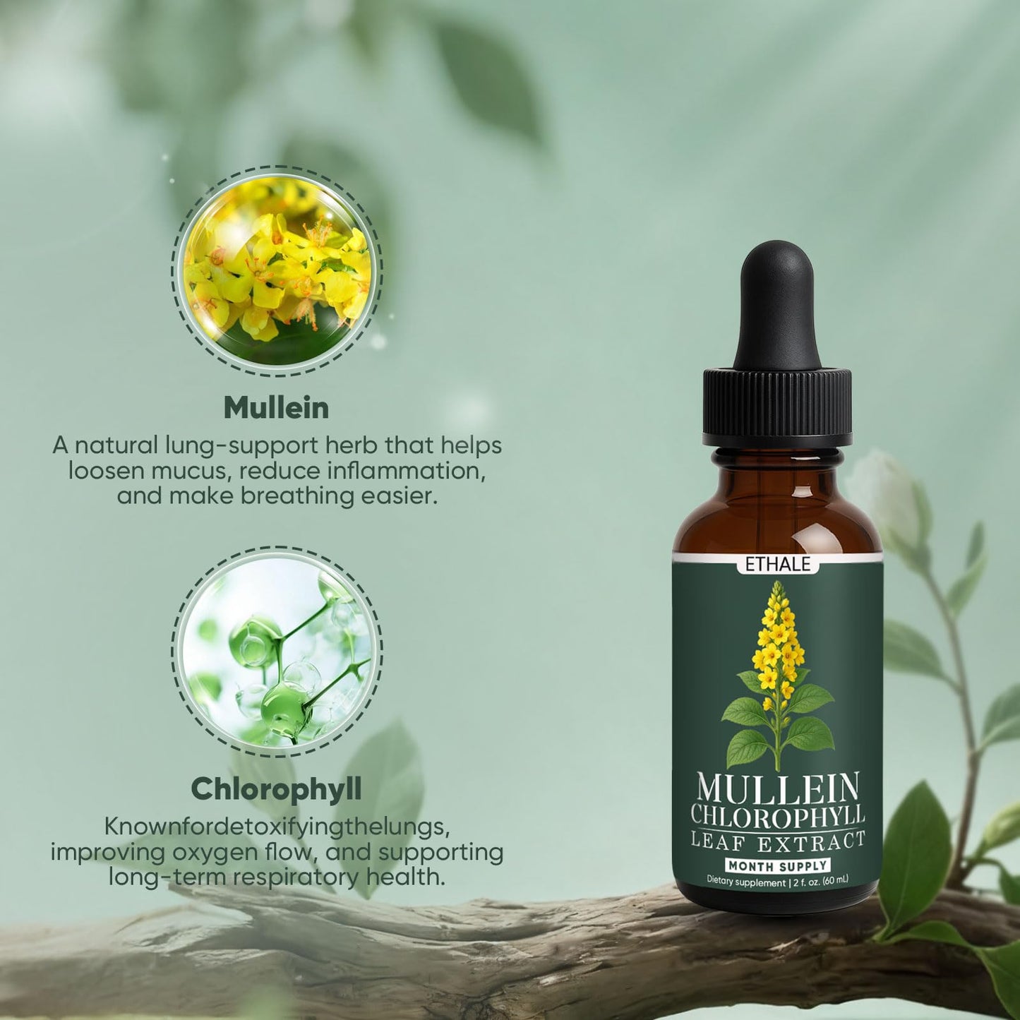 GOOVIP ETHALE Mullein Drops for Lungs – Respiratory Support & Lung Detox
