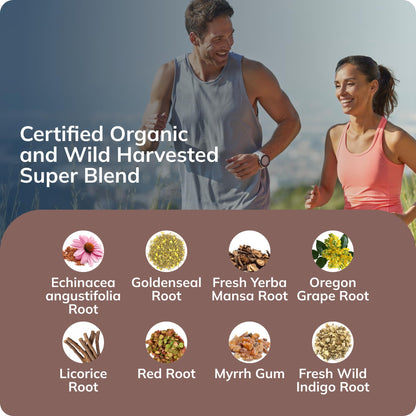 Grama Wellness Organic Echinacea Goldenseal Tincture - Immune Support, Alcohol-Free, 30 Servings
