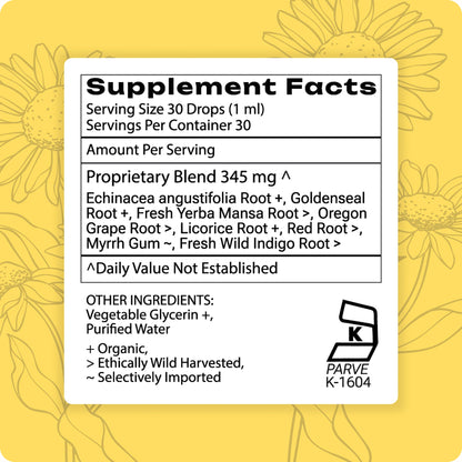 Grama Wellness Organic Echinacea Goldenseal Tincture - Immune Support, Alcohol-Free, 30 Servings