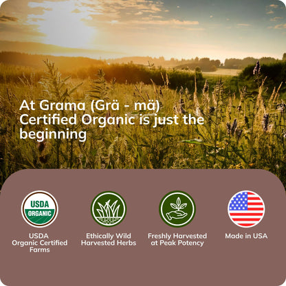 Grama Wellness Organic Echinacea Goldenseal Tincture - Immune Support, Alcohol-Free, 30 Servings