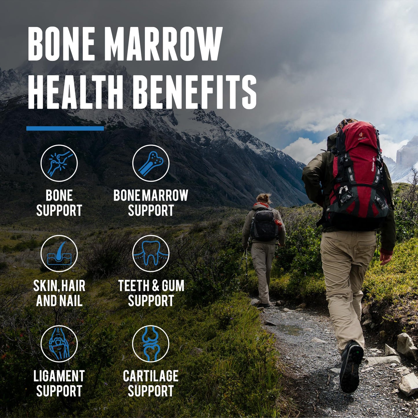 Grass Fed Beef Bone Marrow Supplement – 200 Count | New Zealand Sourced