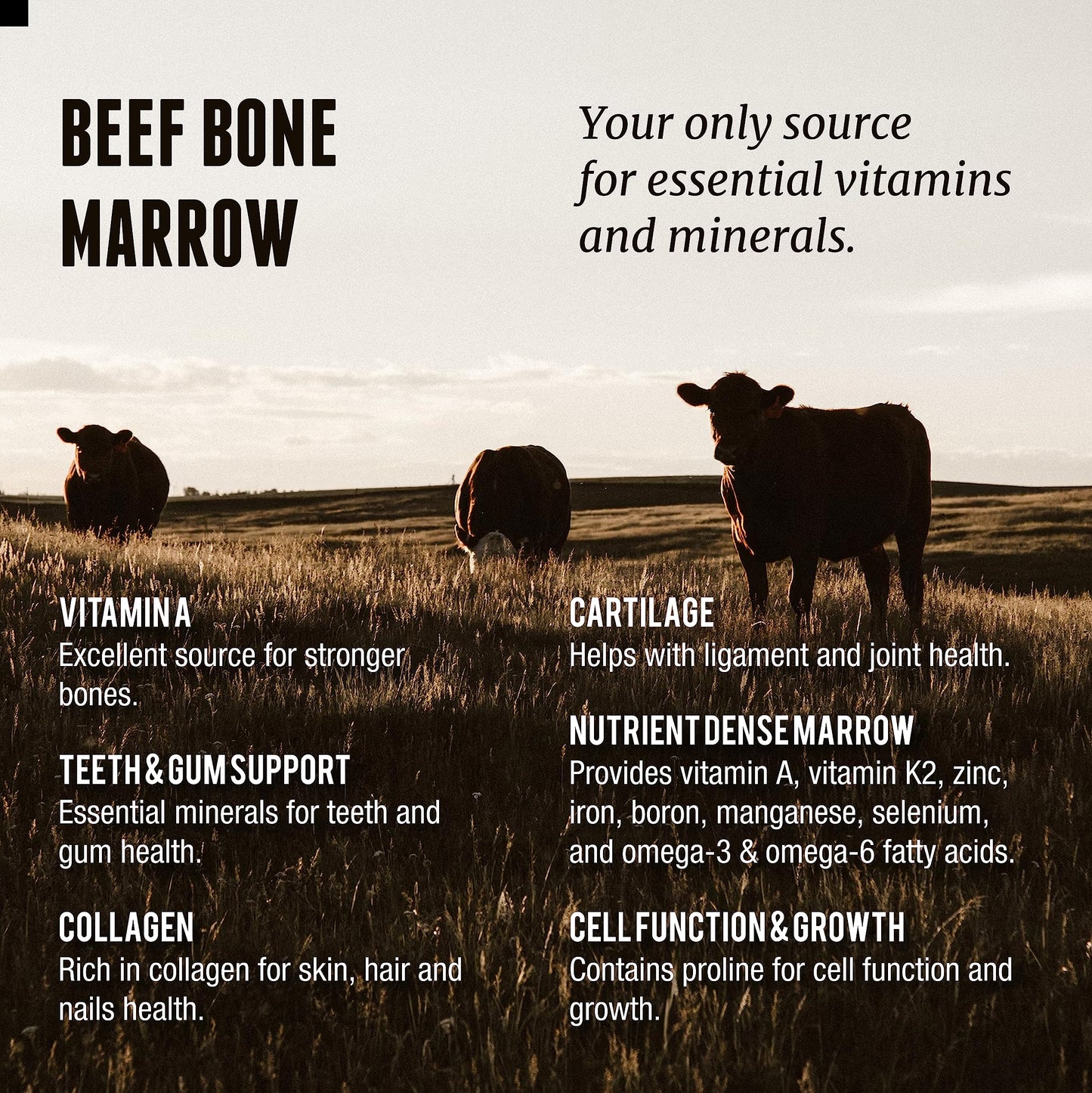 Grass Fed Beef Bone Marrow Supplement – 200 Count | New Zealand Sourced