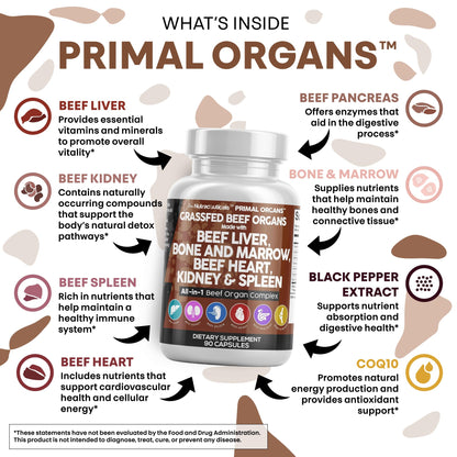 Grass Fed Beef Liver Capsules with Desiccated Organs (Heart, Spleen, Pancreas) + Bone & Marrow | Premium Quality