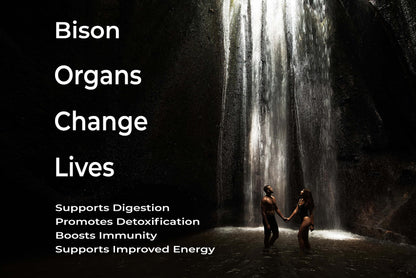 Grass Fed Bison Organ Supplement – Liver, Heart & Kidney | Non-GMO | 180 Capsules
