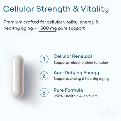 GreenLab Urolithin A+ 1500mg – Advanced Formula for Cellular Energy