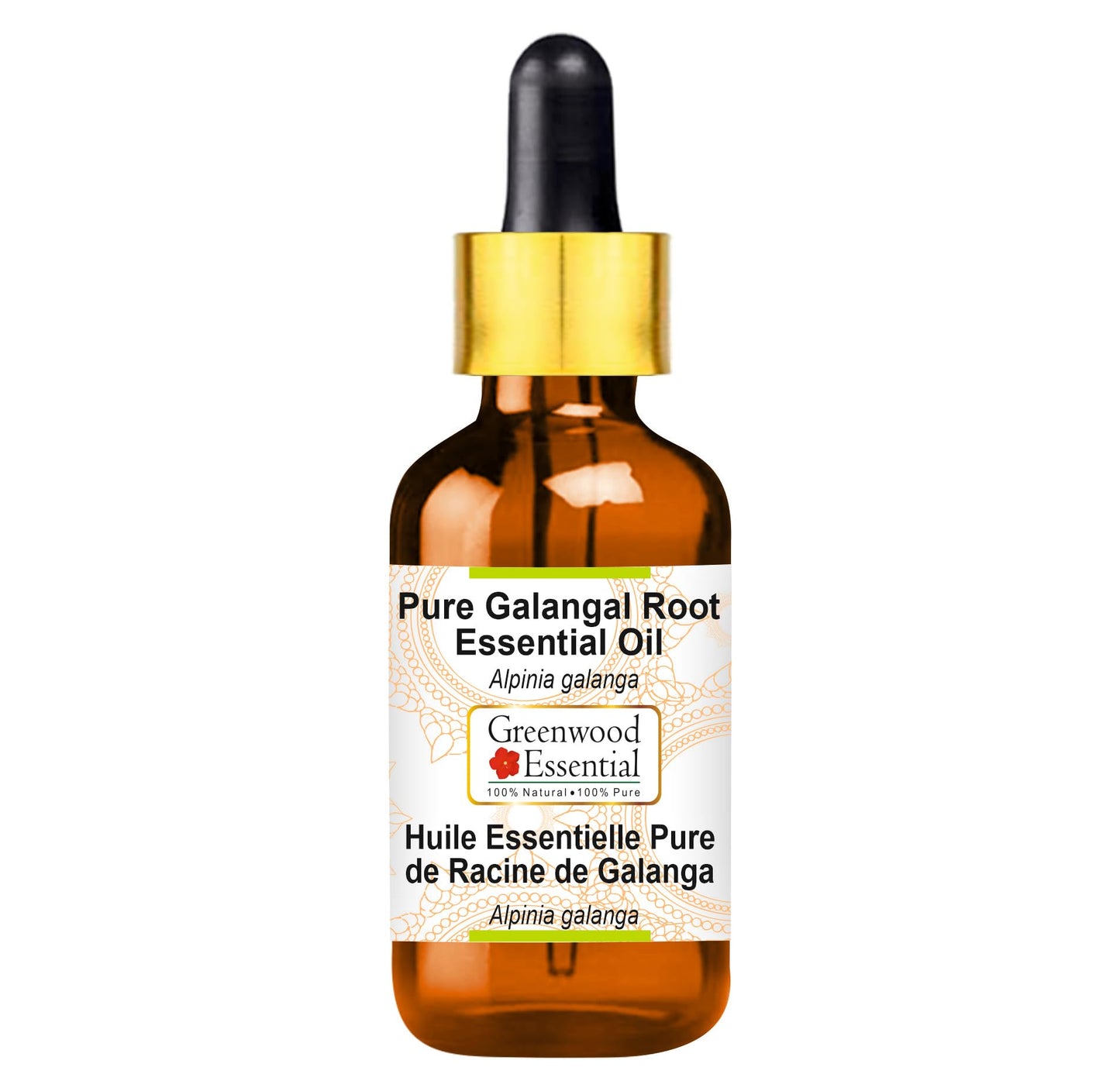 Greenwood Galangal Root Essential Oil (Alpinia Galanga) – Steam Distilled 5ml with Glass Dropper | Pure, Lightweight, Non-Sticky