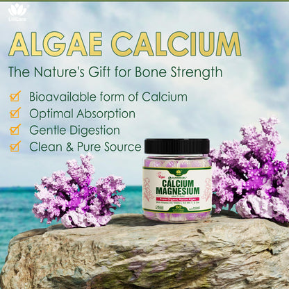 Plant Based Calcium Gummies 600mg | D3 K2 | Magnesium & Zinc | Sugar Free | Vegan