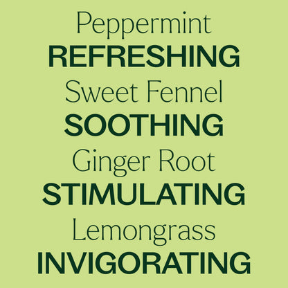 Plant Therapy Gut Aid Essential Oil Blend 10 mL – Upset Stomach Relief