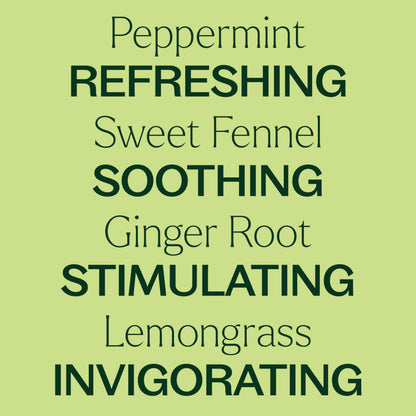 Plant Therapy Gut Aid Essential Oil Blend Roll-On 10 mL – Natural Digestion Support