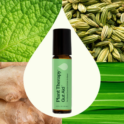Plant Therapy Gut Aid Essential Oil Blend Roll-On 10 mL – Natural Digestion Support