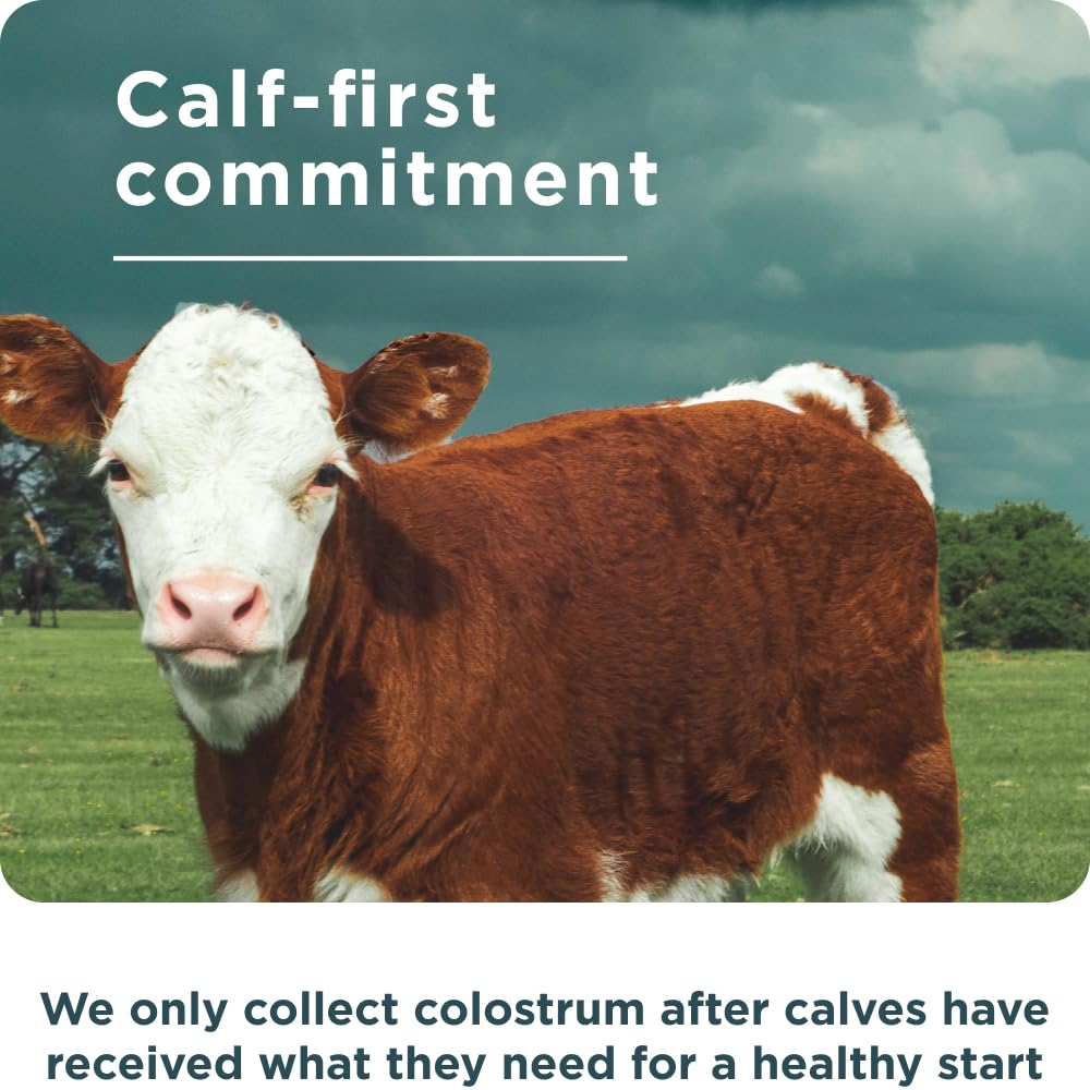 Ancient Nutrition Colostrum Superfood + Collagen – Grass-Fed Bovine Colostrum & Fermented Eggshell Membrane, 75 Count