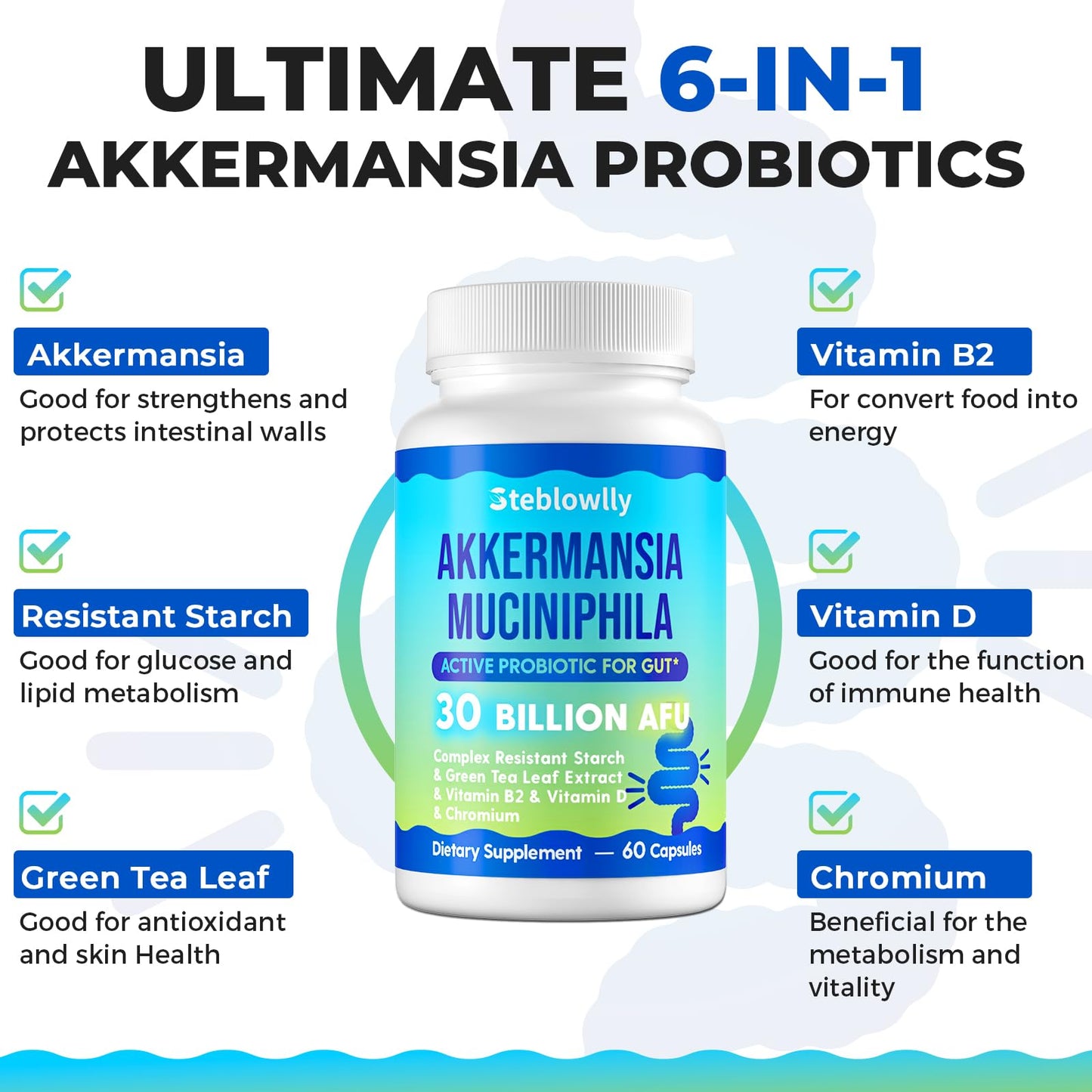 Akkermansia Probiotic with GLP-1 – 60 Capsules for Gut Health