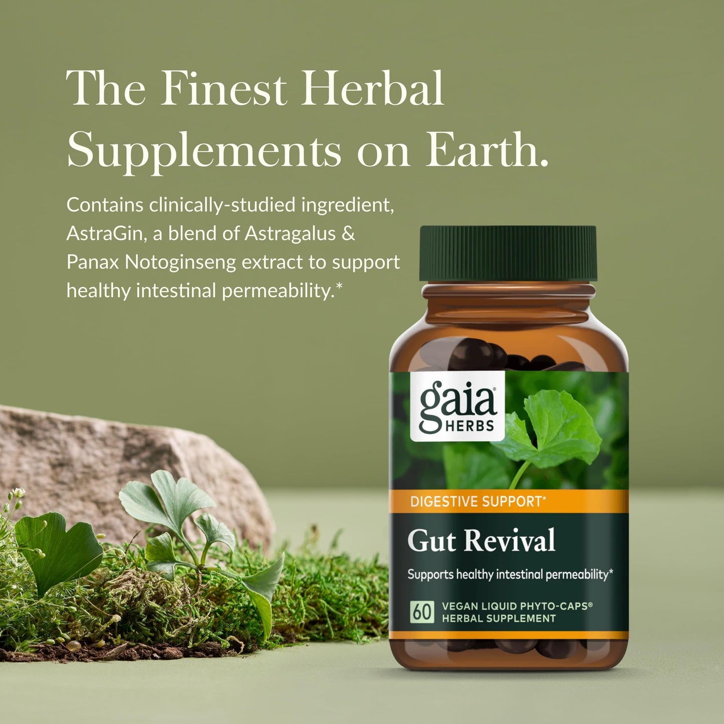 Gaia Herbs Gut Revival - Herbal Digestive Support for Gut Health | 60 Vegan Capsules | Free from Dairy, Soy & Gluten