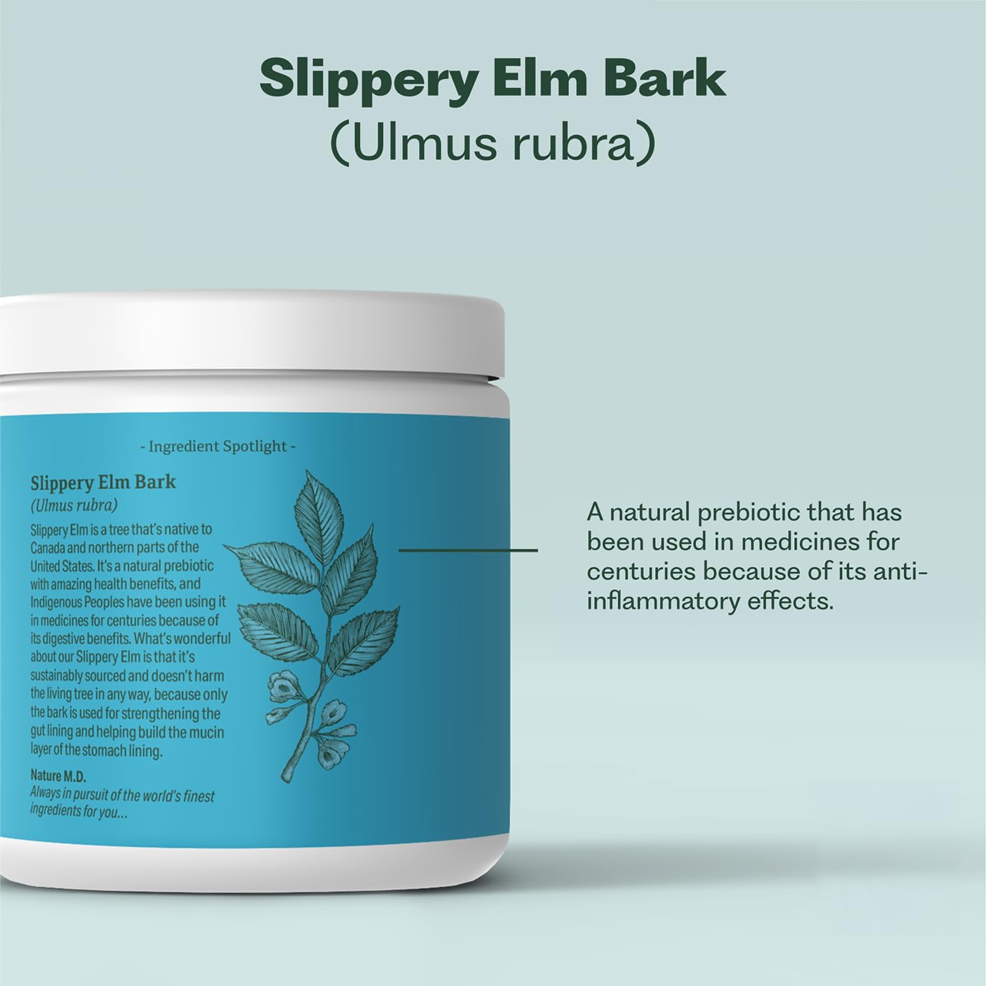 GutConnect 365 Gut Health Powder – Slippery Elm & L-Glutamine, Vanilla Cinnamon