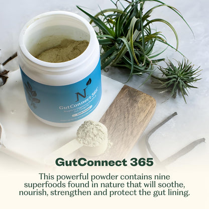 GutConnect 365 Gut Health Powder – Slippery Elm & L-Glutamine, Vanilla Cinnamon