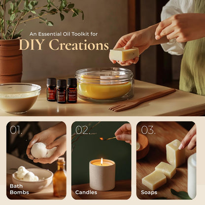 Gya Labs Signature Essential Oil Set (0.17 oz×8) – Diffuser & Aromatherapy Oils