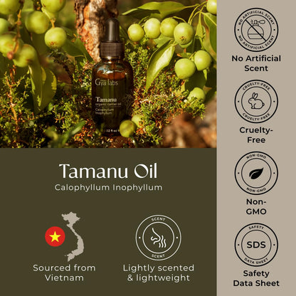 Gya Labs Tamanu Carrier Oil - 1 Fl Oz for Hair, Skin, Face, Scalp & Body Massage