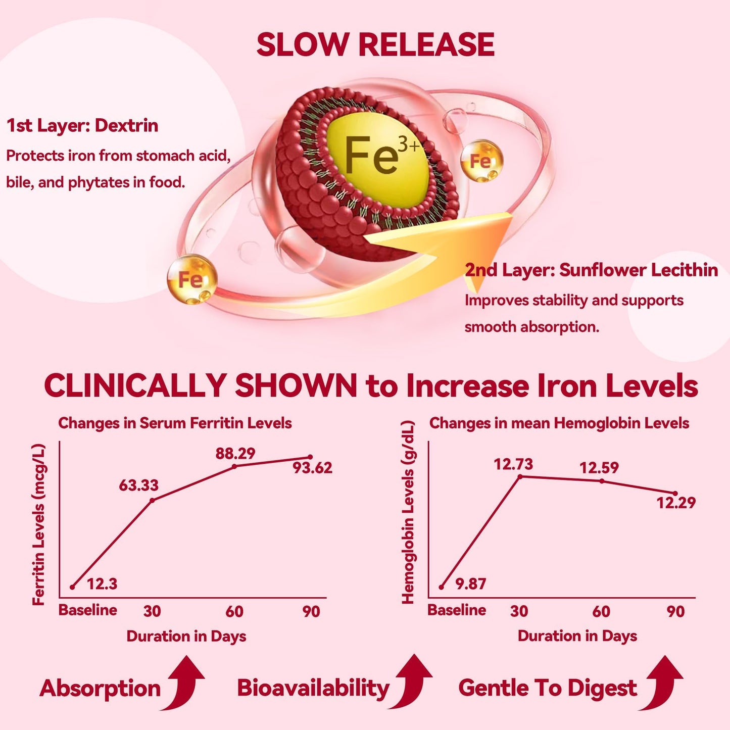 Gentle Iron Plus for Women – 18 mg Slow-Release Iron, Folic Acid, B12, Vitamin C & B6 | 20 Tablets