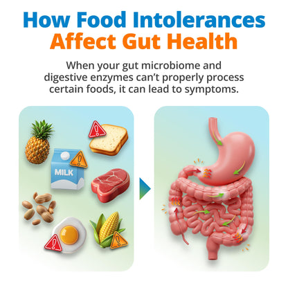 5Strands Gut Health Test – At-Home Hair Sample for 500+ Foods Tested (4-Day Results)