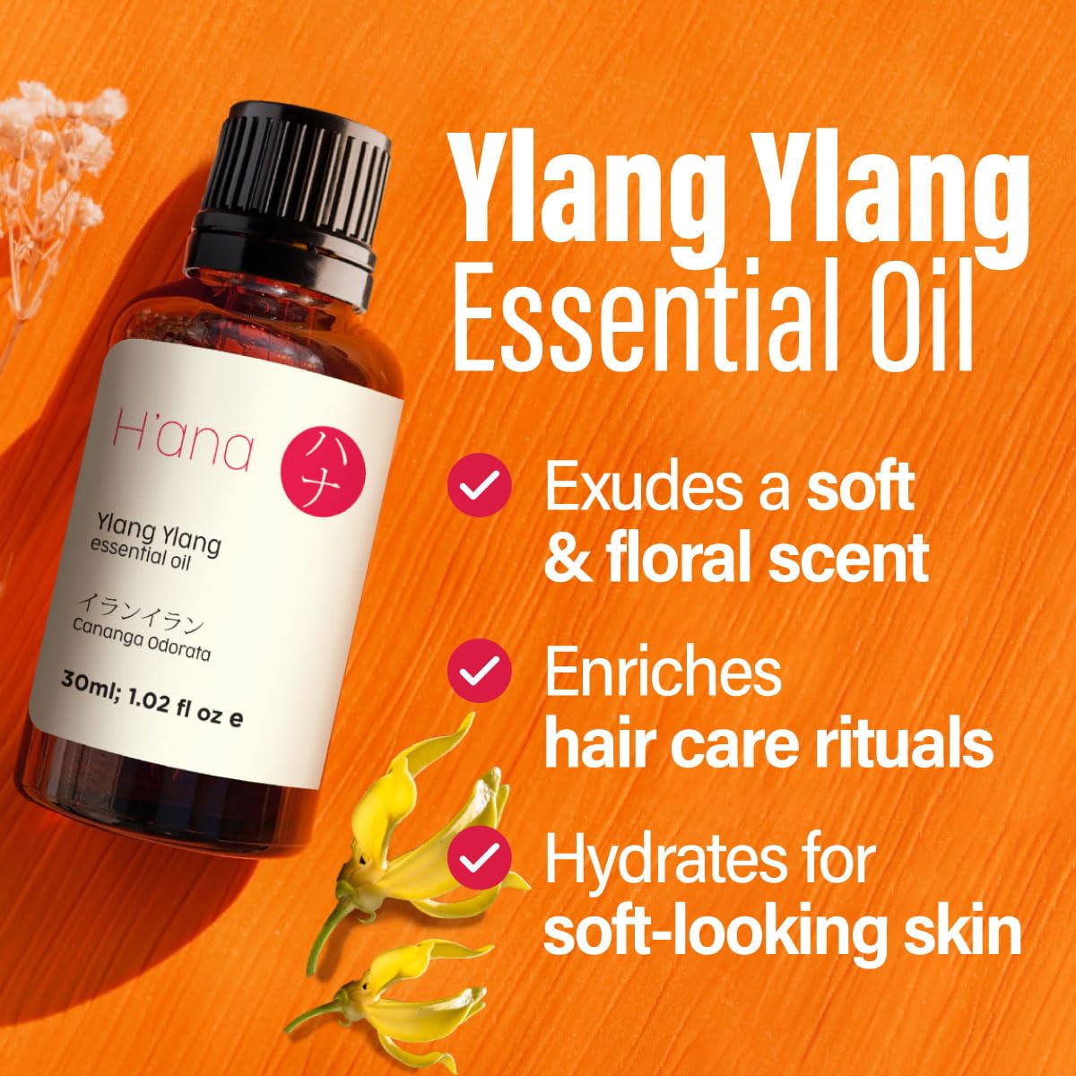 H'ana Ylang Ylang Essential Oil – 1.02 Fl Oz | Hair, Skin, Diffuser, Aromatherapy, DIY Candle & Soap Making