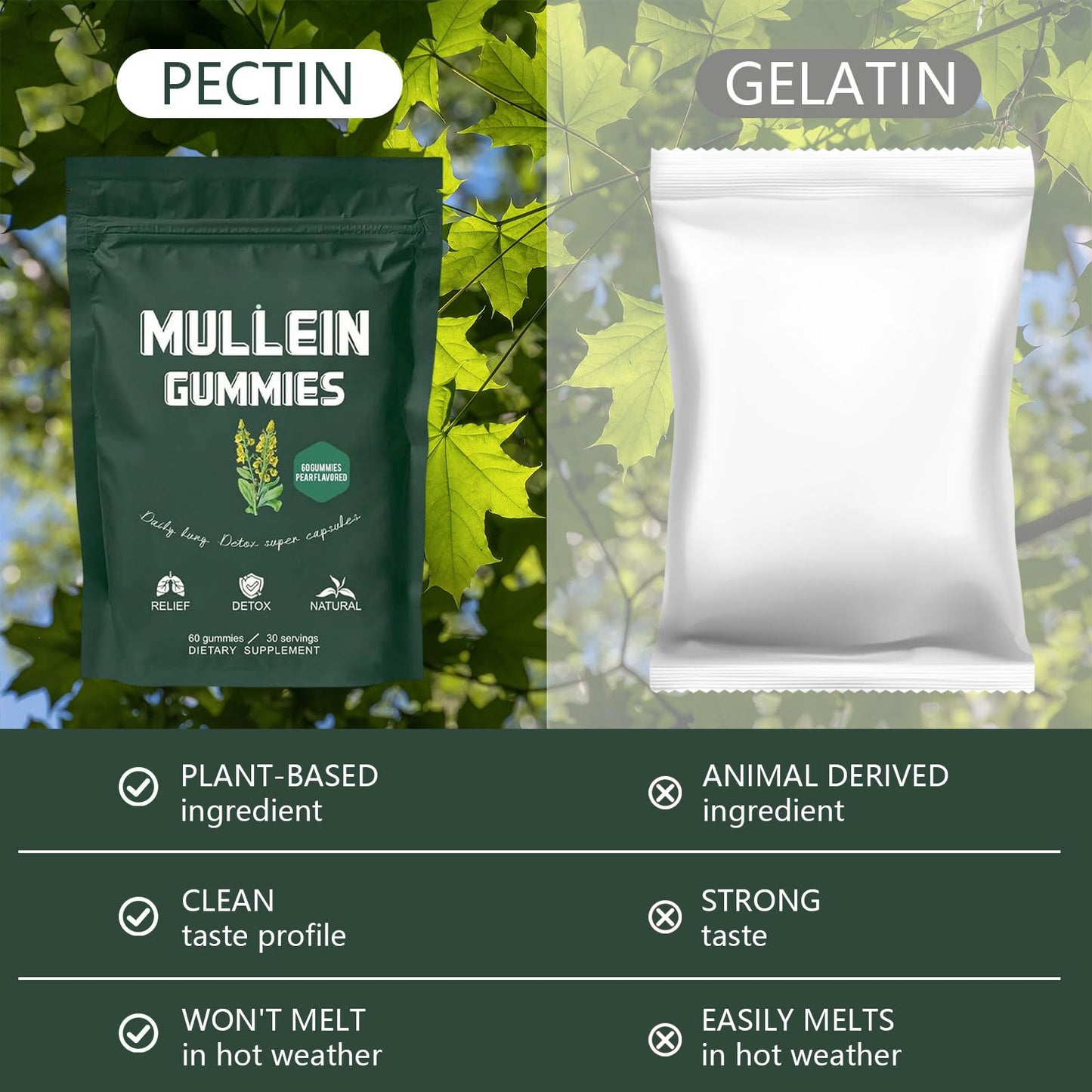Hanachi Mullein Gummies – Daily Respiratory Health, 1000mg Mullein Leaf, Pear Flavor (30 Day Supply)