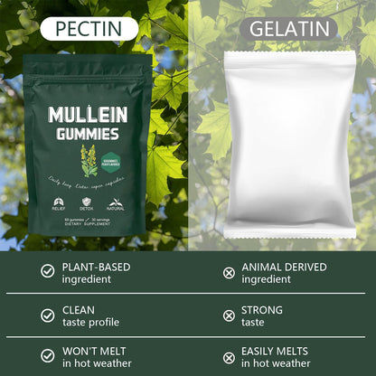Hanachi Mullein Gummies – Daily Respiratory Health, 1000mg Mullein Leaf, Pear Flavor (30 Day Supply)