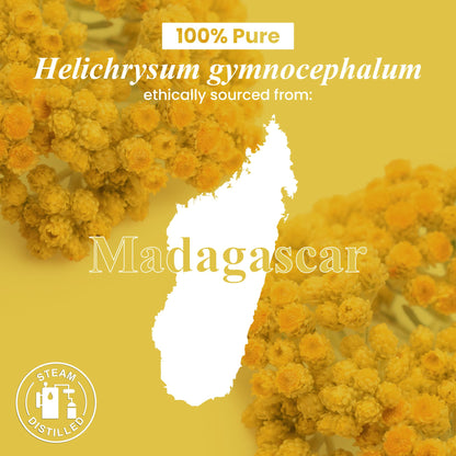 Handcraft Blends Helichrysum Essential Oil – 1 Fl Oz | 100% Pure