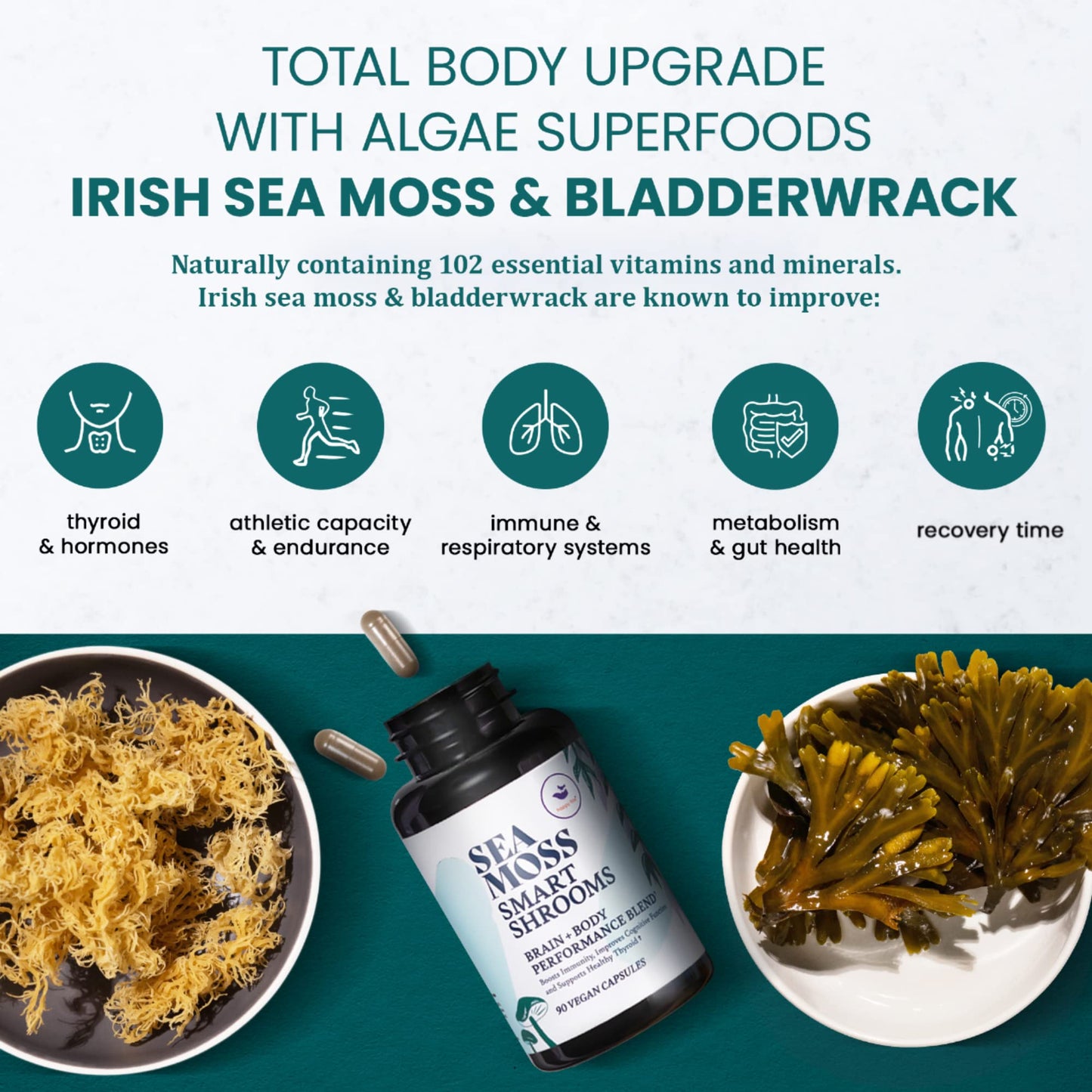HAPPY FOX Irish Sea Moss Capsules & Mushroom Complex - 1500mg, 90 Vegan Capsules