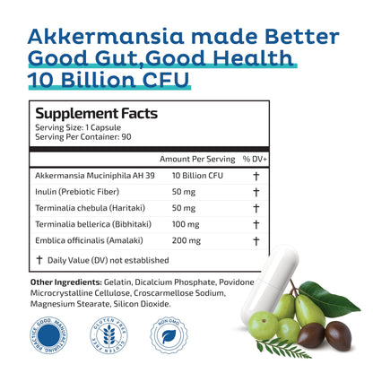 Akkermansia Muciniphila Probiotic + Triphala – 10B CFU | 3 Month Supply