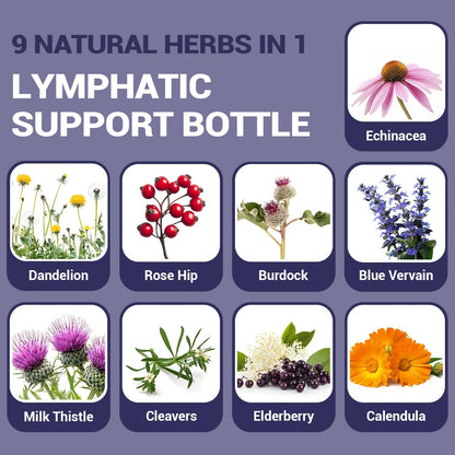 HARMONIFY Lymphatic Drainage Drops – Herbal Support (2 fl oz / 60 mL)
