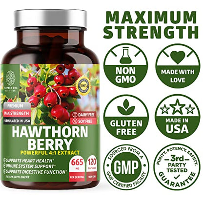 N1N Premium Hawthorn Berry Capsules – Max Strength 2660mg, 120 Caps (Pack of 2)