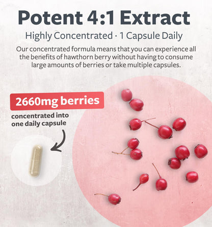 Super Potent Hawthorn Berry Extract Capsules – 4 Month Supply, Heart & Digestive Health (Vegan, Non-GMO, Gluten Free)